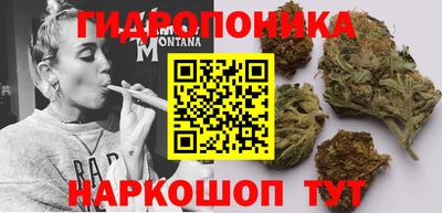 прущие крисы Азнакаево