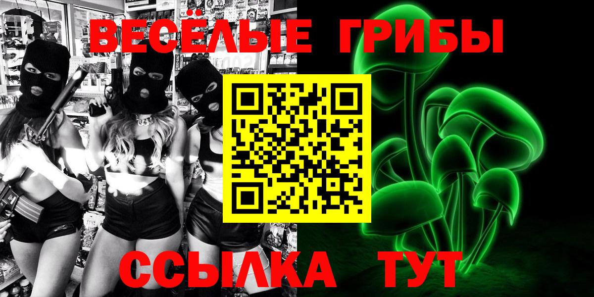 Псилоцибиновые грибы мухоморы Абакан