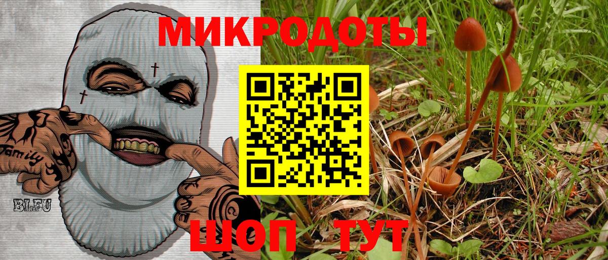 Абакан  Псилоцибиновые грибы GOLDEN TEACHER  Вход с VPN 